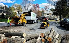 Organic Lawn Care Solutions in Niceville, FL